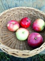 Плетеный поднос — изображение 5