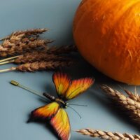 Брошь «Бабочка» из полимерной глины