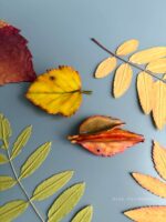 Броши «Осенние листочки» из полимерной глины
