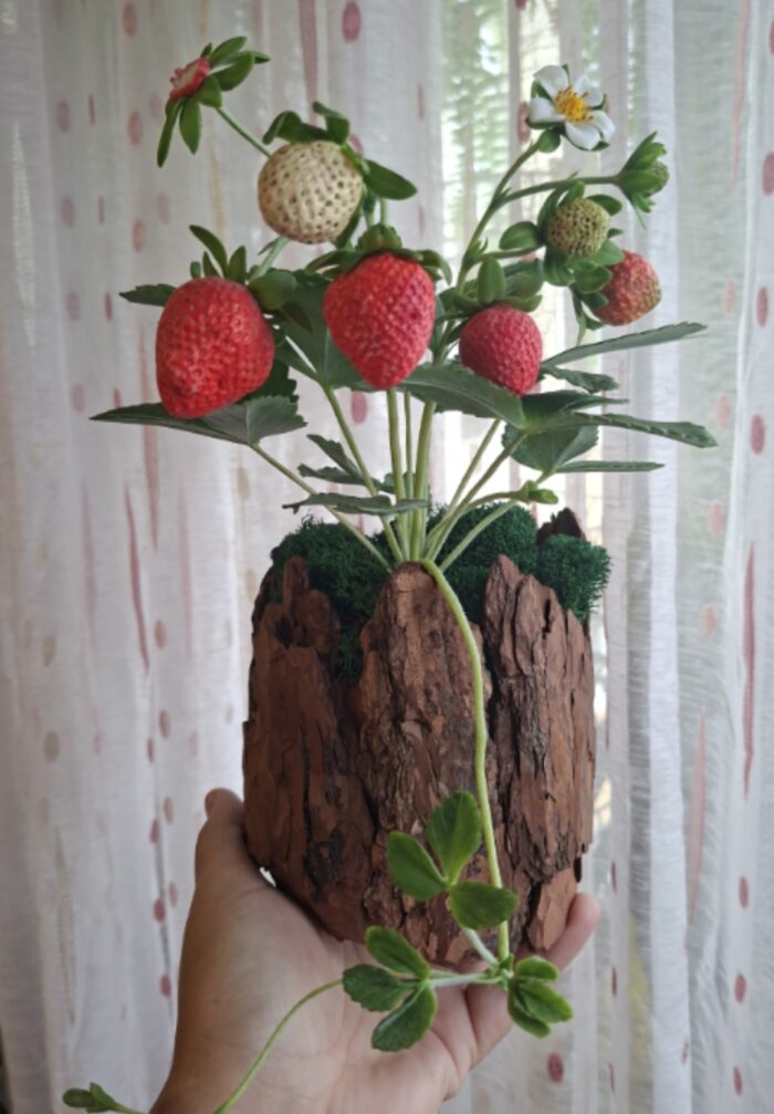 Клубника в кашпо — изображение 3