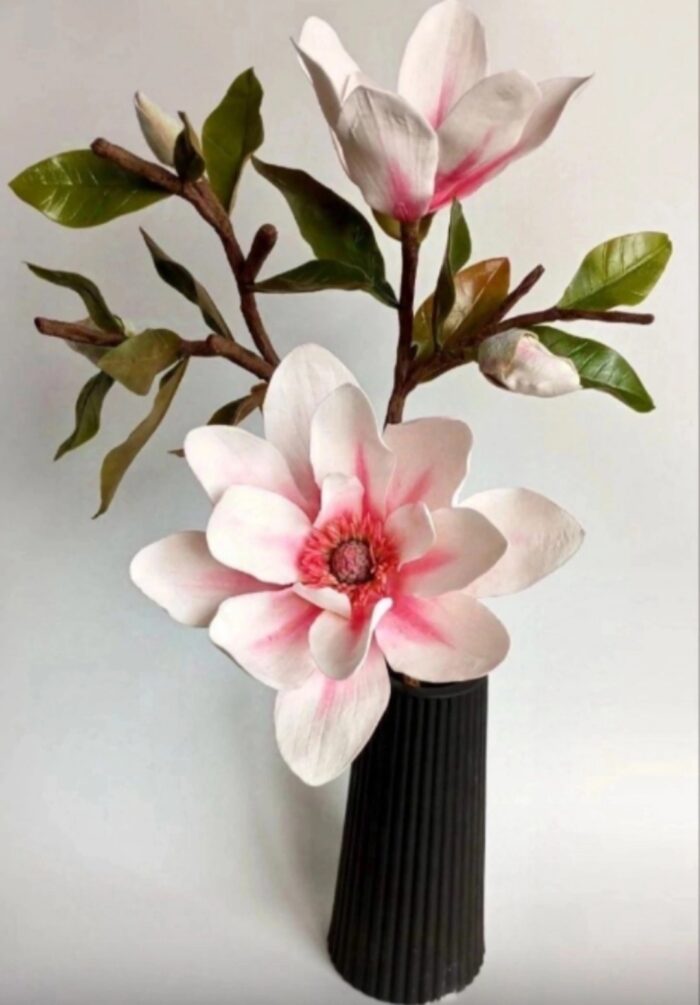 Ветка магнолии — изображение 2