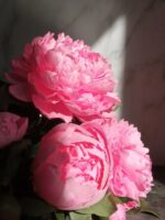 Светильник "Нежный Пион" — изображение 2