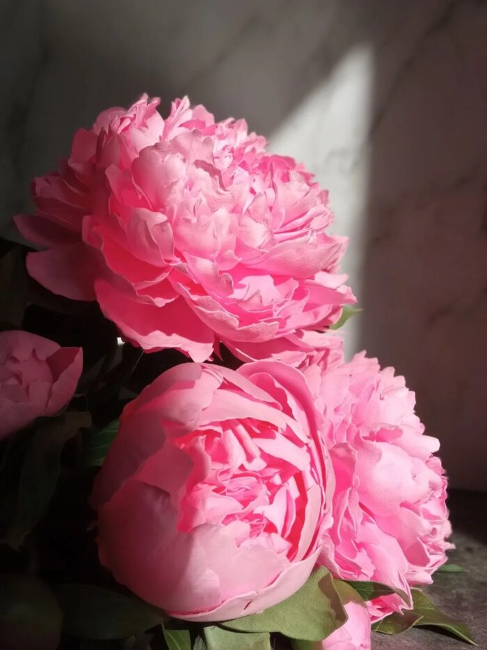 Светильник "Нежный Пион" — изображение 2