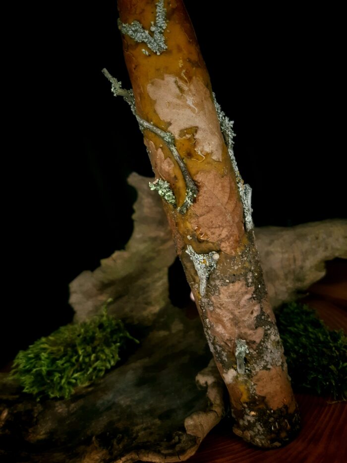 Свеча "Перерождение" — изображение 3