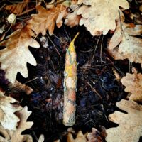 Свеча "Перерождение"