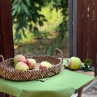 Добро пожаловать в «Плетёный Уют от Елены» — мастерскую, где ваш дом обретает душу и характер.