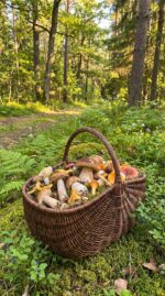 Добро пожаловать в «Плетёный Уют от Елены» — мастерскую, где ваш дом обретает душу и характер.