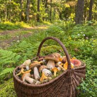 Добро пожаловать в «Плетёный Уют от Елены» — мастерскую, где ваш дом обретает душу и характер.