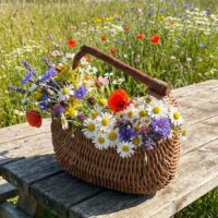 Добро пожаловать в «Плетёный Уют от Елены» — мастерскую, где ваш дом обретает душу и характер.