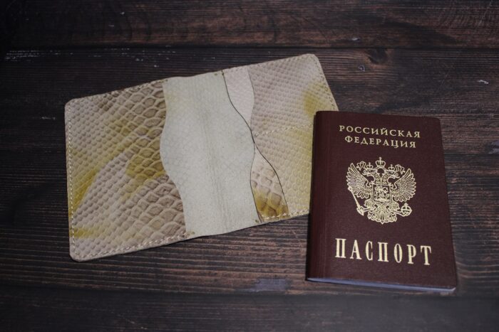 Обложка на документы — изображение 8