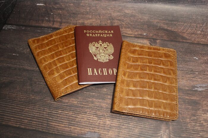 Обложка на документы — изображение 10