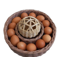 Плетёный поднос – это прекрасный выбор для хранения пасхальных лакомств. Его ручная работа делает его уникальным и стильным украшением праздничного стола. НАС ИЩУТ: плетеный поднос, пасхальный поднос, поднос для кулича, поднос для яиц, ручная работа, праздничный стол, пасхальные украшения