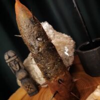 Свеча защиты и справедливости -"Булава"