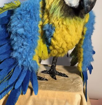 Мягкая игрушка «Попугай Ара» — воплощение экзотики в вашем доме!