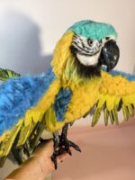 Мягкая игрушка «Попугай Ара» — воплощение экзотики в вашем доме!