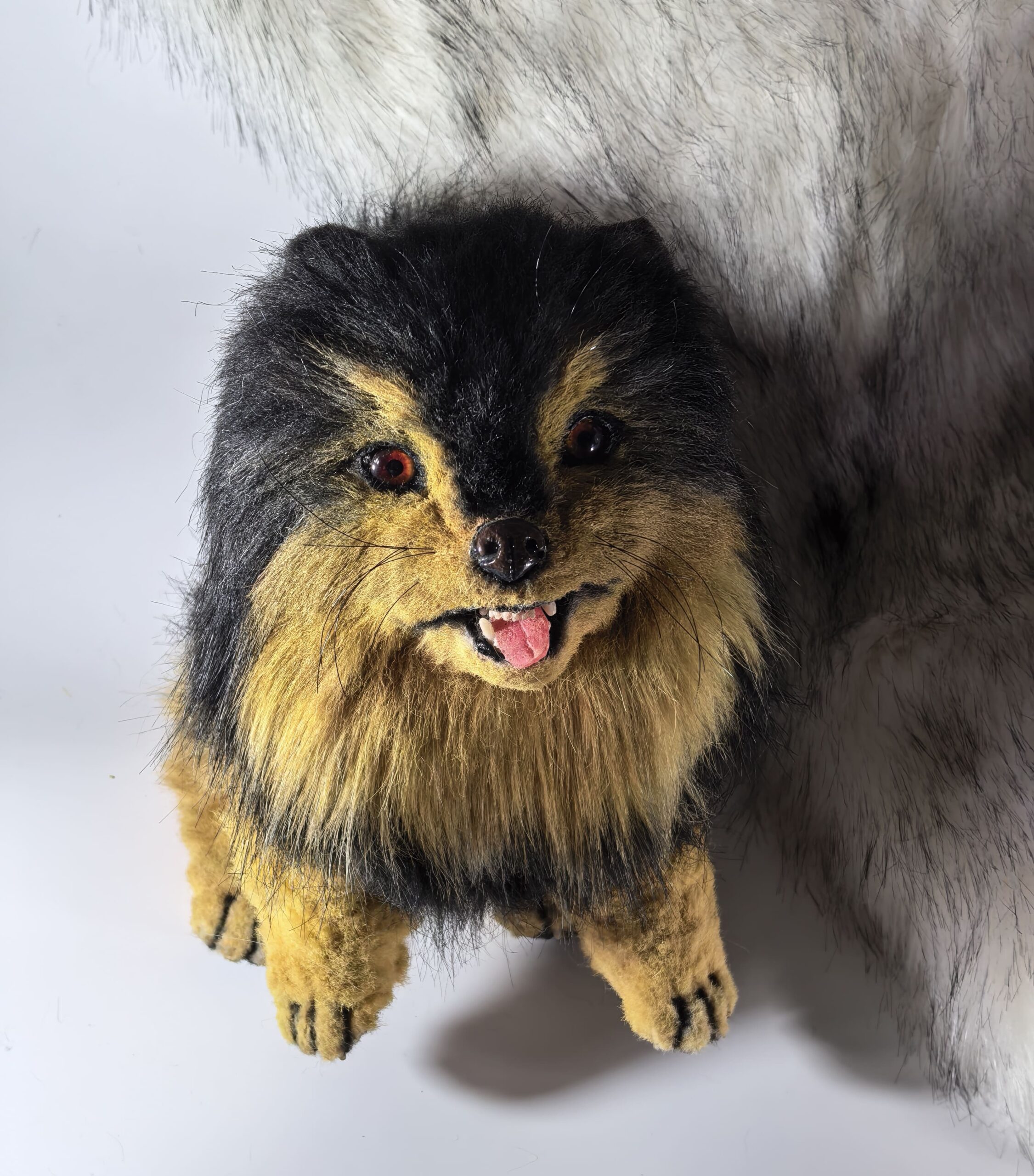 2026-03-29 16-54-00 Мягкая игрушка «Померанский шпиц» — пушистый комочек радости в вашем доме!