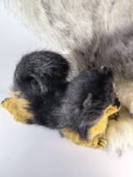 Реалистичный померанский шпиц — изображение 4