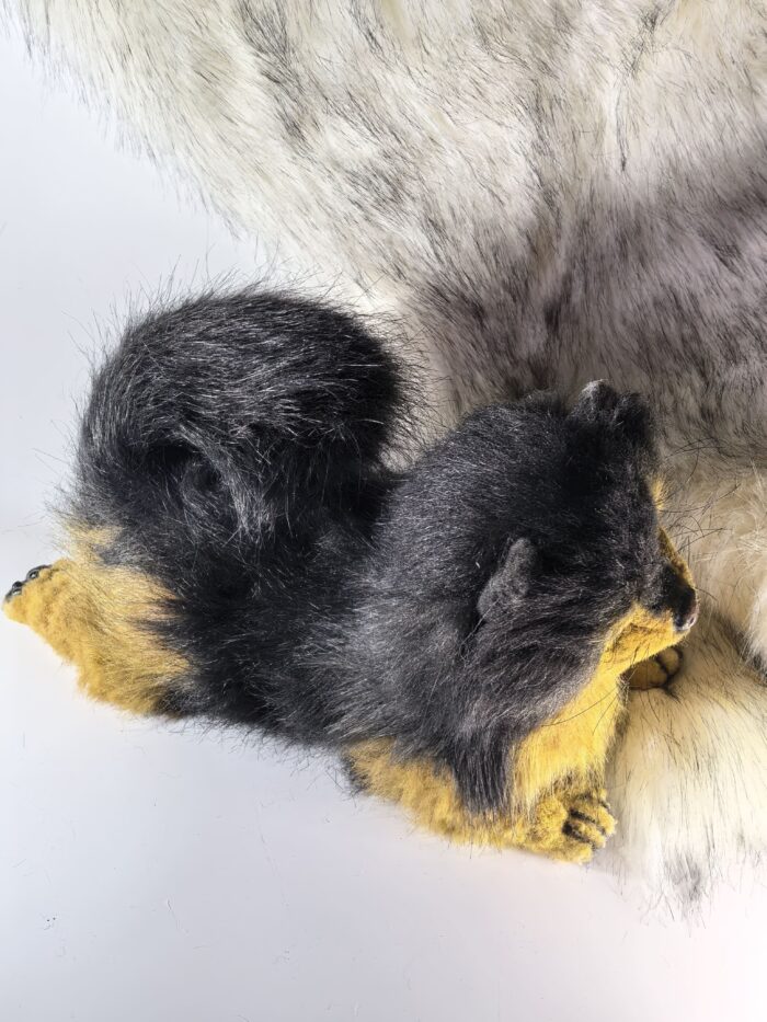 Реалистичный померанский шпиц — изображение 4