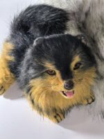 Реалистичный померанский шпиц — изображение 5