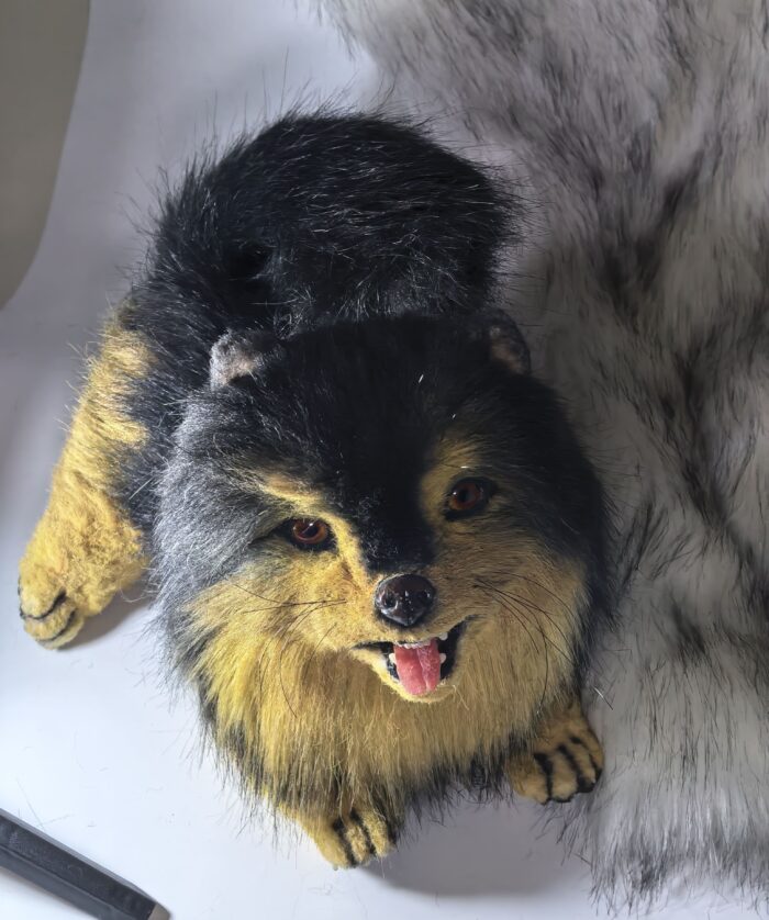 Реалистичный померанский шпиц — изображение 2