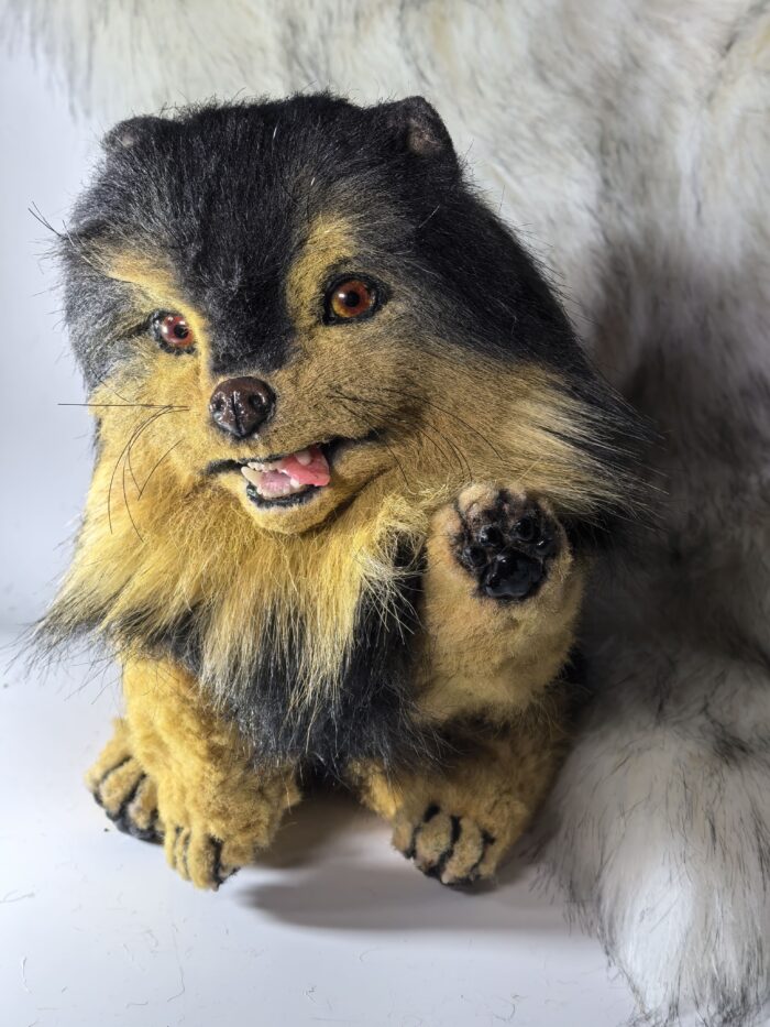 Реалистичный померанский шпиц — изображение 3