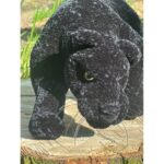 Авторские амигуруми ручной работы