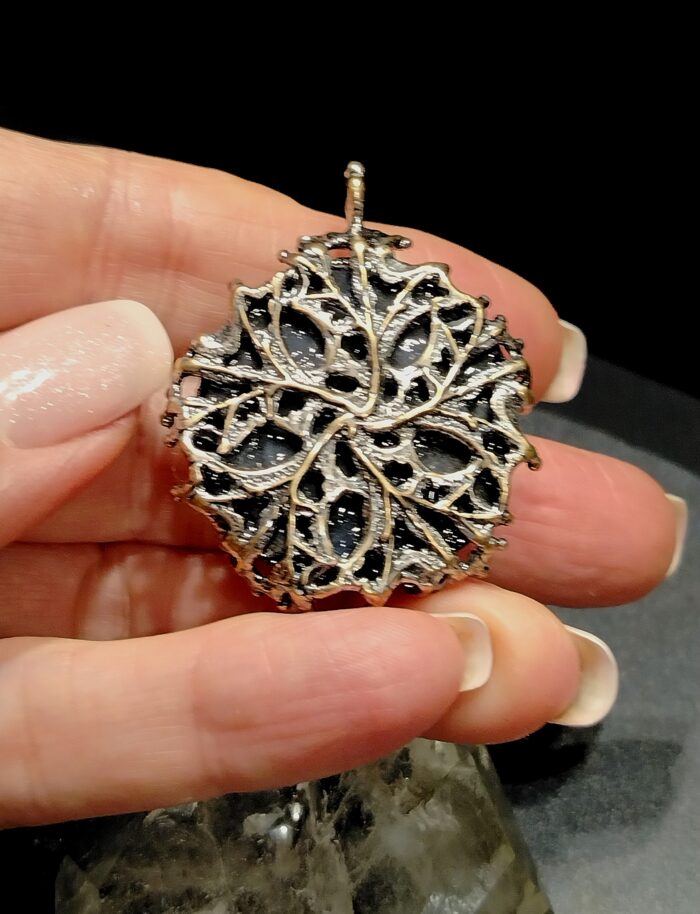 Медальон Мисс Вселенная — изображение 6