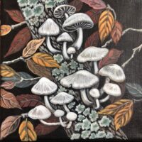 Поганки на дереве