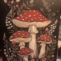 Пейзаж с мухоморами