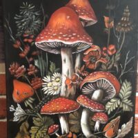 Пейзаж с мухоморами