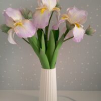 Букет ирисов