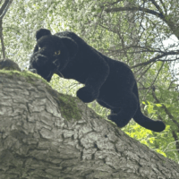 Авторские амигуруми ручной работы