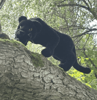 Авторские амигуруми ручной работы