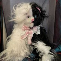 Кот-тайник "Сплит"