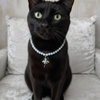 "Балеринка" колье