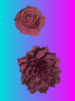 Брошь-георгин — изображение 2