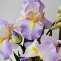 Светильник "Ирисы"