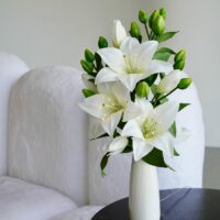 Светильник "Лилия"