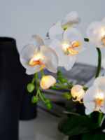 Светильник «Орхидея»: изысканный декор и мягкий свет для вашего дома.