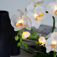 Светильник «Орхидея»: изысканный декор и мягкий свет для вашего дома.