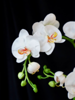 Светильник «Орхидея»: изысканный декор и мягкий свет для вашего дома