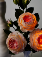 Светильник-пионы: Шикарный аксессуар для вашего дома!