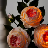 Светильник-пионы: Шикарный аксессуар для вашего дома!