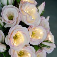 Светильник «Эустома»: нежный акцент для вашего интерьера