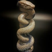 Свеча "Змеиный танец"