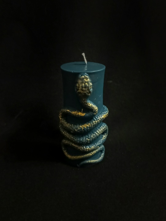 1 Свеча интерьерная "Змея"