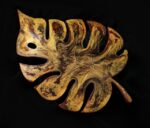 Костер "Золото тропического леса"