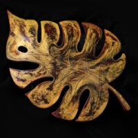 Костер "Золото тропического леса"