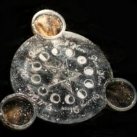 Алтарь "Шепот вулкана"