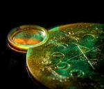 Алтарь "Змеелов"